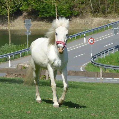 Kotthoff Am Hennesee * Meschede