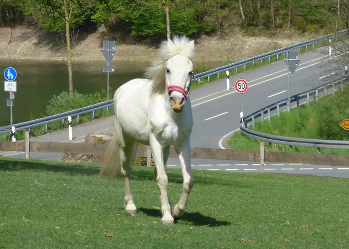 Kotthoff Am Hennesee * Meschede